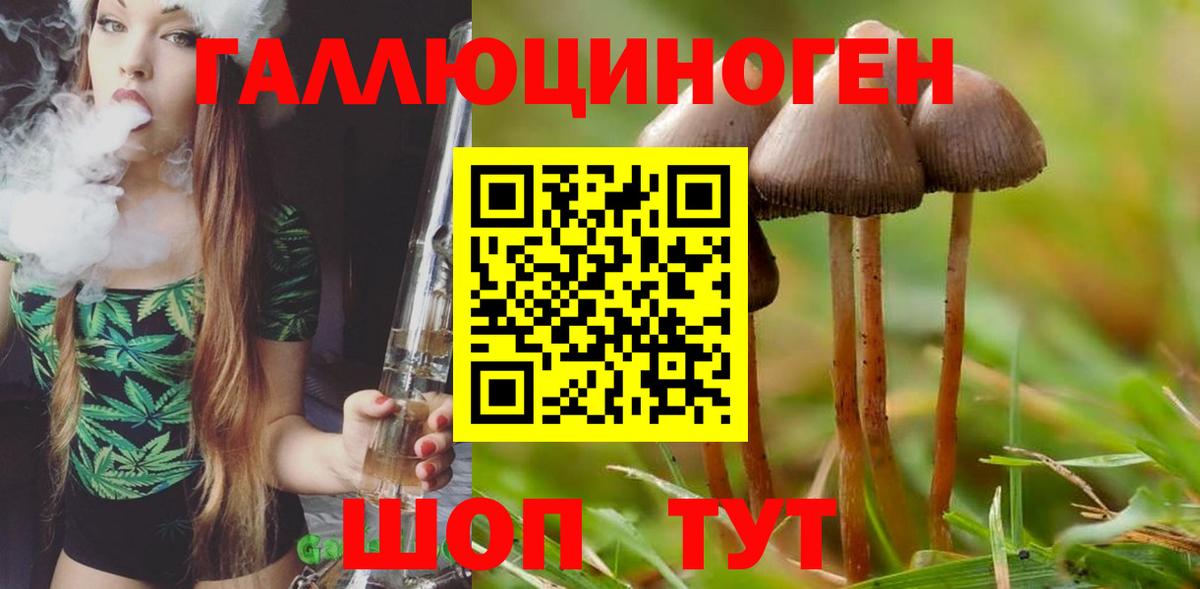 Галлюциногенные грибы прущие грибы  Псилоцибиновые грибы MAGIC MUSHROOMS  наркота  Вход с VPN  Десногорск 
