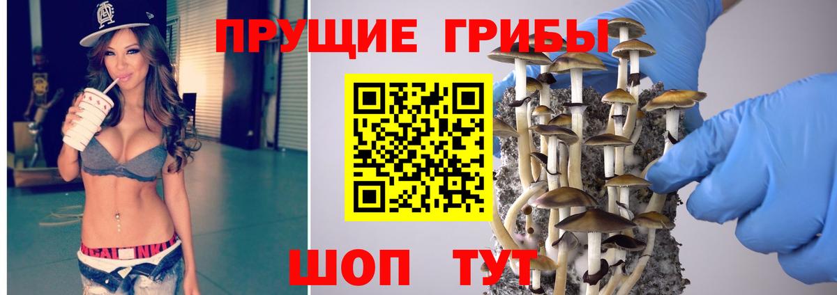 Псилоцибиновые грибы прущие грибы Десногорск